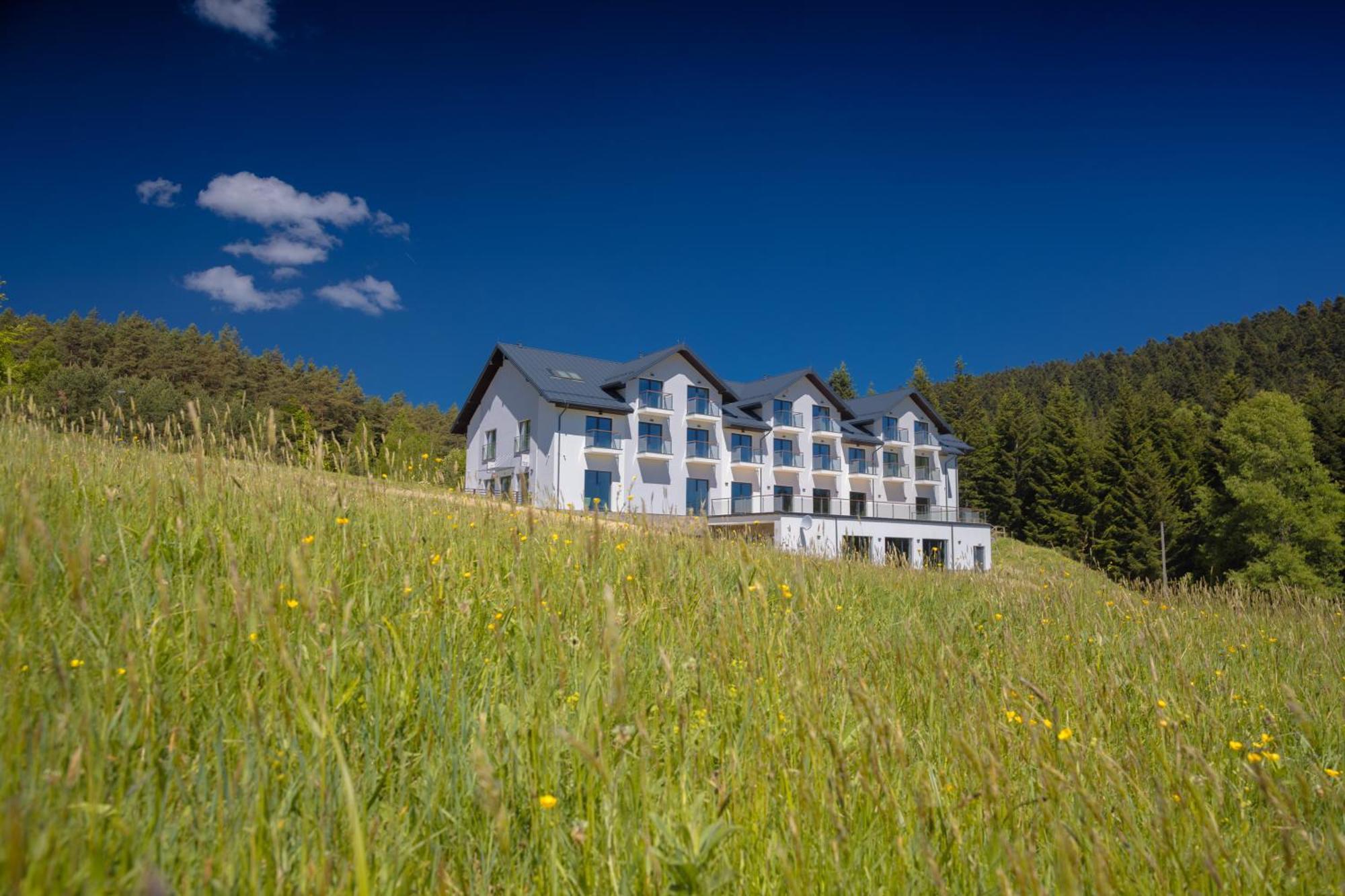 Hotel Miodowa Klinika à Kamianna Extérieur photo